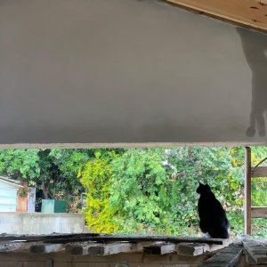 cat_the_builder, le premier chat chef de chantier cat_the_builder%20(2)-1 - Ceramica del Conca