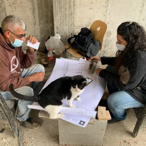 cat_the_builder, le premier chat chef de chantier cat_the_builder%20(5) - Ceramica del Conca