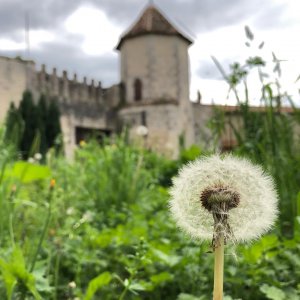 In einem mittelalterlichen Kloster der Steineffekt von Del Conca. Instagram%20(1) - Ceramica del Conca