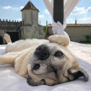 Dans un monastère médiéval, l'effet de pierre de Del Conca Instagram%20(7) - Ceramica del Conca