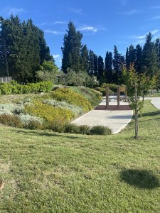 La primavera esplode nel Parco della Casa di Marco parco_simoncelli_2025-1 - Ceramica del Conca