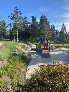 La primavera esplode nel Parco della Casa di Marco parco_simoncelli_2025-10 - Ceramica del Conca
