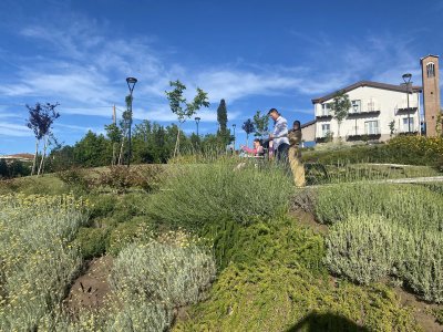 La primavera esplode nel Parco della Casa di Marco parco_simoncelli_2025-5 - Ceramica del Conca
