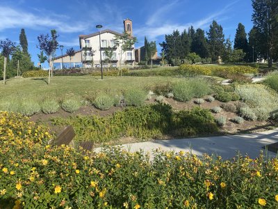 La primavera esplode nel Parco della Casa di Marco parco_simoncelli_2025-8 - Ceramica del Conca