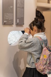 Expo Osaka 2025, un successo che va in archivio con le ultime celebrazioni osaka%202025%20(7) - Ceramica del Conca