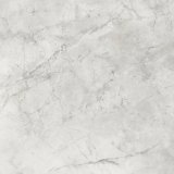 Porcelain Stoneware Bloom GRBO10R - Ceramica del Conca