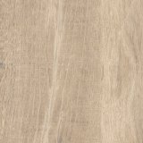 Feinsteinzeug 303 HFT%20331%202000 - Ceramica del Conca