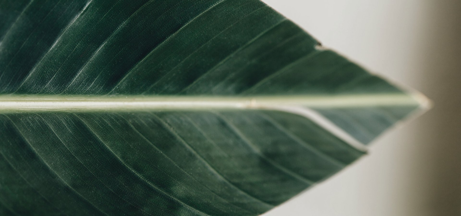 Porcelain Stoneware Sustainability chi%20siamo_A2 - Ceramica del Conca