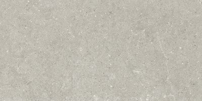 Grès Cérame Grey HWD2_205_Grey_60x120 - Ceramica del Conca