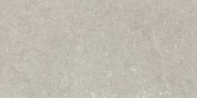 Feinsteinzeug Grey HWD2_205_Grey_60x120 - Ceramica del Conca