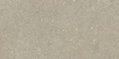 Porcelain Stoneware Greige HWD2_211_Oyster_60x120 - Ceramica del Conca