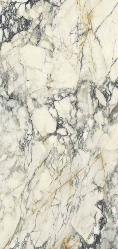 Gres porcellanato Paonazzo Paonazzo_120x260_1 - Ceramica del Conca