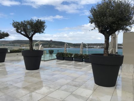 Del Conca in der Sky Lounge und Pool des Luna Holiday Komplex auf Malta karaz - Ceramica del Conca