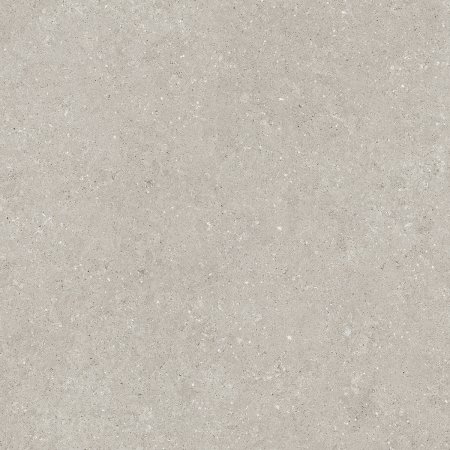 Porcelain Stoneware Wild2 HWD2_205_Grey - Ceramica del Conca