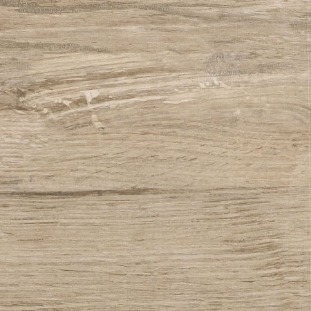 Porcelain Stoneware Foreste D'Italia Tacca_FI_1_2000x2000 - Ceramica del Conca